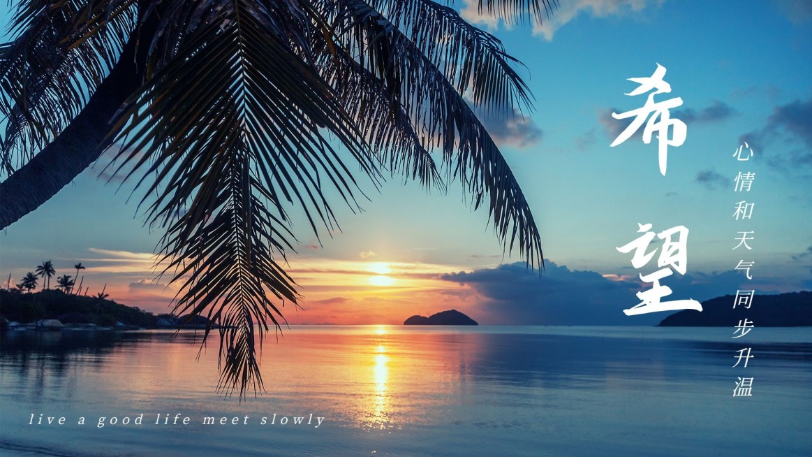 简约实景轻设计横版视频封面套装预览效果