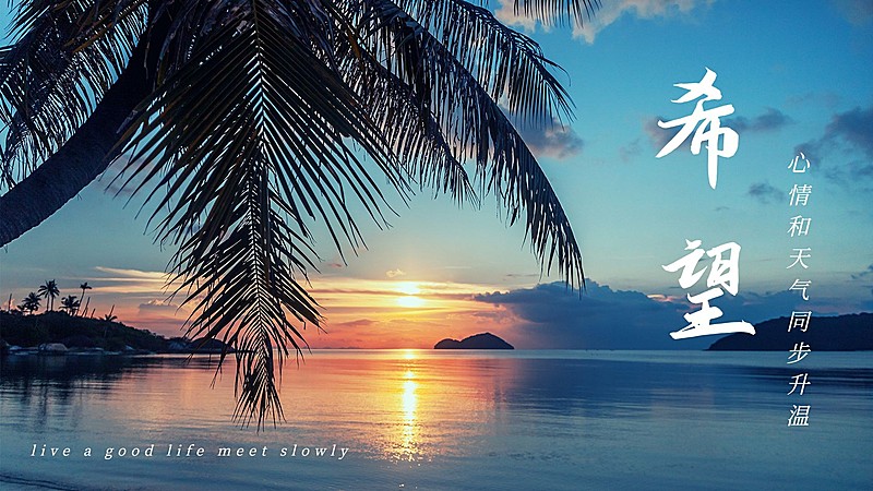 简约实景轻设计横版视频封面套装