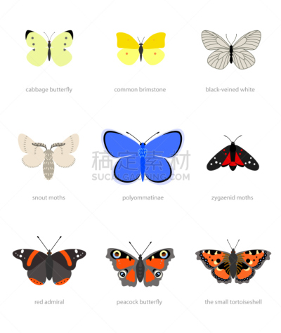 蝴蝶,字体,图标集,垂直画幅,海报,图像,组物体,小的,红纹蝶,孔雀