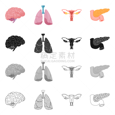 人,分离着色,图标集,一个物体,人类的生殖器官,卵巢,细支气管,内分泌系统