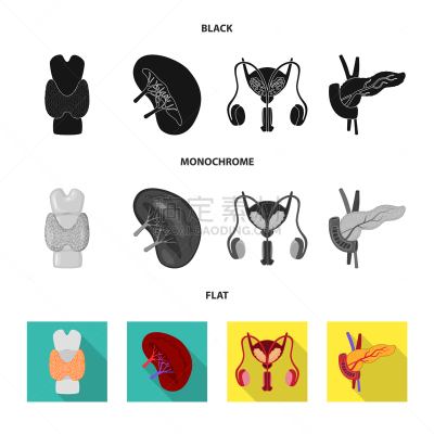 生物学,数学符号,泌尿系统,膀胱,内分泌系统,人,背的，脊的,身体受伤,设计