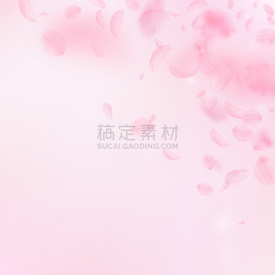 浪漫,粉色,花瓣,樱之花,仅一朵花,请柬,热,清新,落下,爱