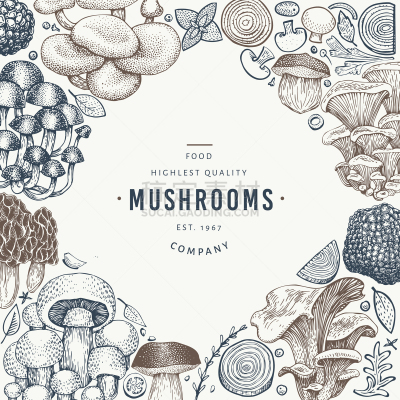 食品,模板,食用菌,动物手,式样,Porcini Mushroom,菜单,清新,金针菇,绘制