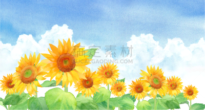 矢量,绘画插图,天空,向日葵,地形,云,水彩画,脉搏图,海洋,农业