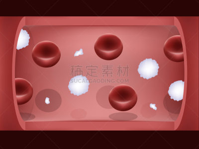 血管,红细胞,血小板,白细胞,图表设计师,心血管系统,室内