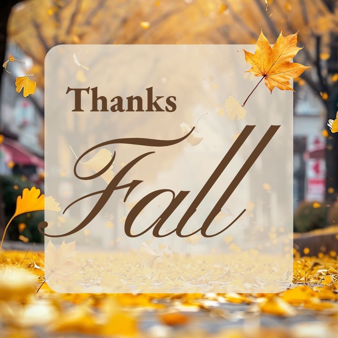 insMind Fall Colors Autumn Fashion Collection Templates