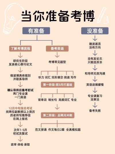 教育考博攻略指南决策树小红书配图