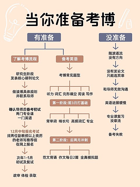 教育考博攻略指南决策树小红书配图