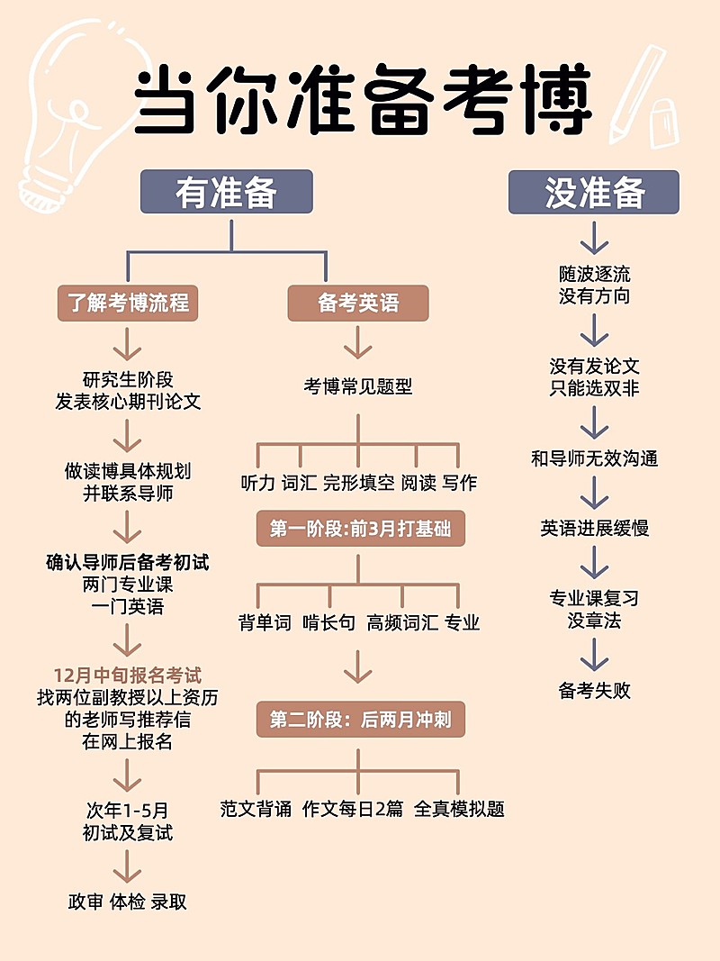 教育考博攻略指南决策树小红书配图