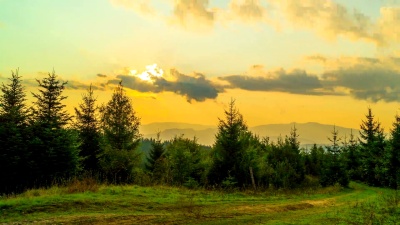 夕阳背景下的山林