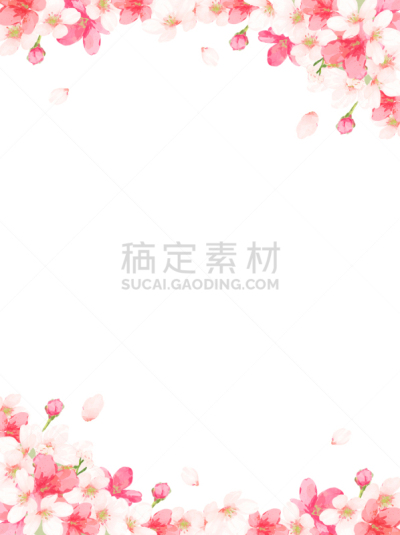 边框,矢量,樱花,华丽的,请柬,贺卡,水彩画颜料,清新,浪漫