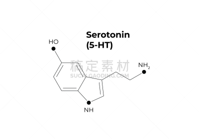 幸福,矢量,羟色胺,科学,极简构图,荷尔蒙,沮丧,教育,设计