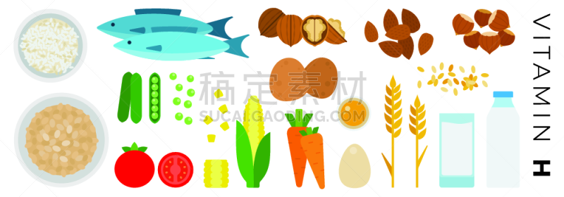 维生素,食品,牛奶,矢量,计算机图标,七叶树,坚果,平坦的,蔬菜,布置