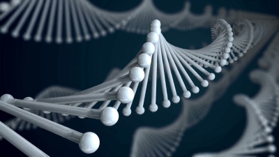 DNA分子环