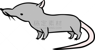 矢量,地鼠,绘画插图,动物研究,科学实验,技术,十二生肖,简单,动物场馆,哺乳纲