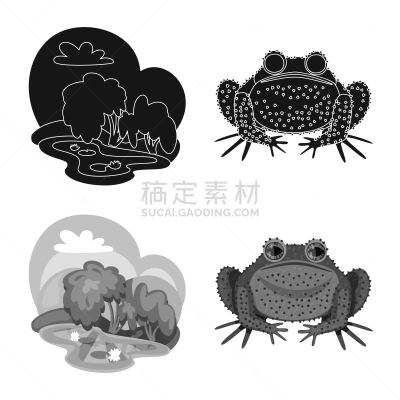 野生动物,藓沼,品牌名称,生物学,有毒物质,青蛙,草,动物,收集,设计