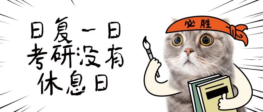 考研学习表情包猫MEME公众号首图预览效果
