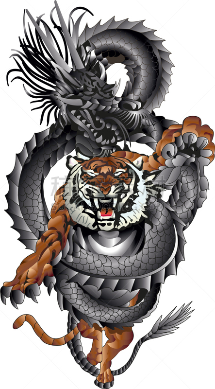 龙,虎,鸟冠,丰,自然,能力,平衡,动物