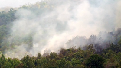 泰国山上的野火(平底锅拍摄)