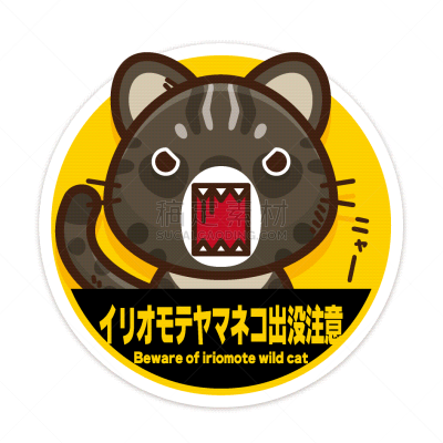 动物,野猫,标签,图像,西表岛,可爱,无人,危险,标志,方形画幅