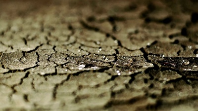 雨滴在干燥的土壤上缓慢运动