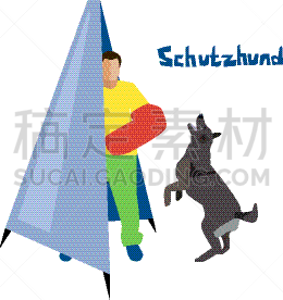 狗,运动,宠物,业主,纯种犬,热,敏捷,图像,服从