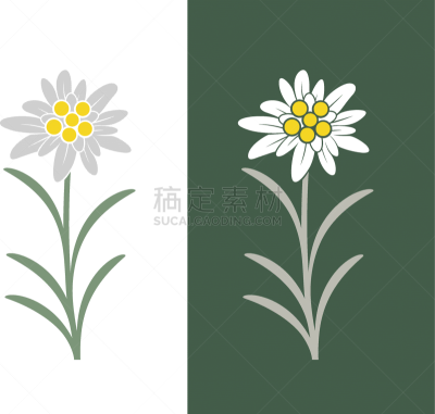 品牌名称,火绒草,分离着色,白色背景,菜园,背景分离,香料,多样,成分,棍