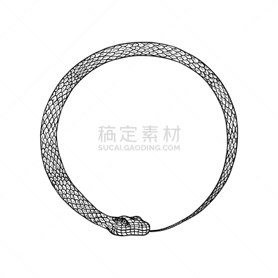 蛇,眼镜蛇,圆形,高雅,怪异,野生动物,动物,响尾蛇,复古