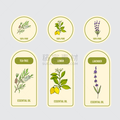 标签,香熏油,茶,熏衣草,有机食品,自然,草本,清新,图像,美