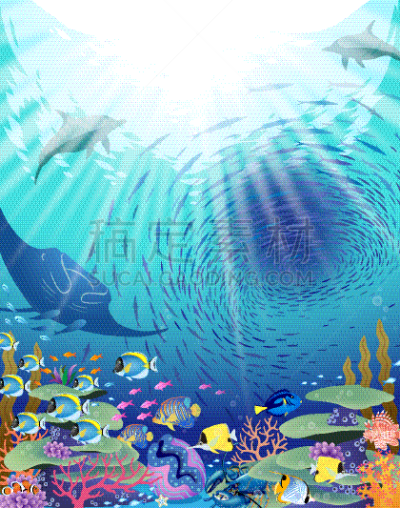 海洋公园,丰富,活力,旅途,热带气候,粉蓝颊纹鼻鱼,海豚,动物群,黄镊口鱼,蓝刺尾鱼