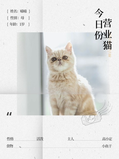 宠物晒图晒照小红书封面预览效果