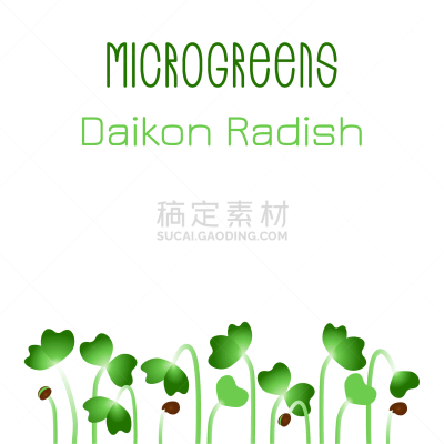 microgreens daikon radish seed packaging design