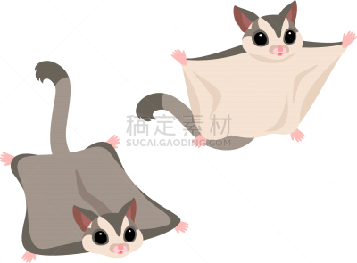 灰色,绘画插图,滑翔机,甘蔗,活力,可爱的,背景分离,野生动物,简单,动物群