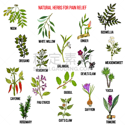 自然,草本,痛苦,生物学,白色,有机食品,健康保健,药,环境,减轻