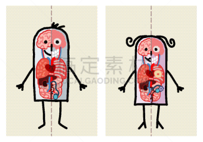 男人,女人,卡通,人类的生殖器官,人,白色,黑色,性格