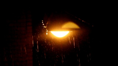 街灯雨夜