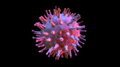 猪流感H1N1病毒( /Loop)
