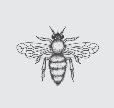 蜜蜂,绘画插图,动物手,自然,Beekeeper,花粉,大黄蜂,蜂蜜,昆虫,爱