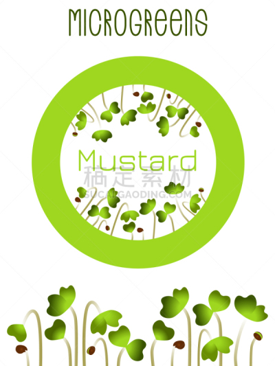 microgreens mustard seed packaging design round