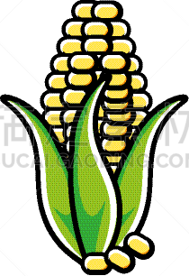 蔬菜,清新,玉米,图标,农业,素食,菜单,香料,食品,烹调