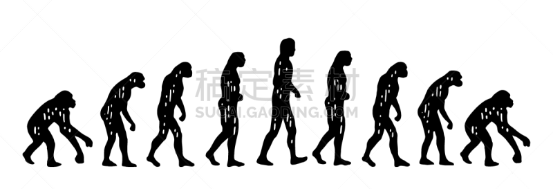 猴子,理论设计标签,男人,人属,野生动物,姿态不雅,灵长目,猿,哺乳纲,进化