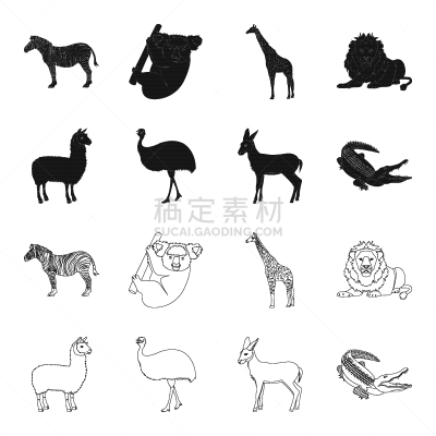动物,羚羊,美洲驼羊,鸵鸟,鸸鹋,幼小动物,斑马,狮子,哺乳纲,鸟类