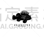 品牌名称,蓑鲉,Russell,分离着色,创造力,自然,清新,概念,野生动物,弯曲