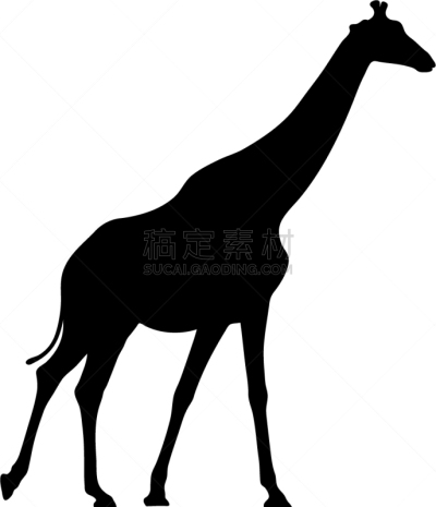 长颈鹿,黑色,白色背景,分离着色,轮廓,白色,自然,动物园,非洲,剪影