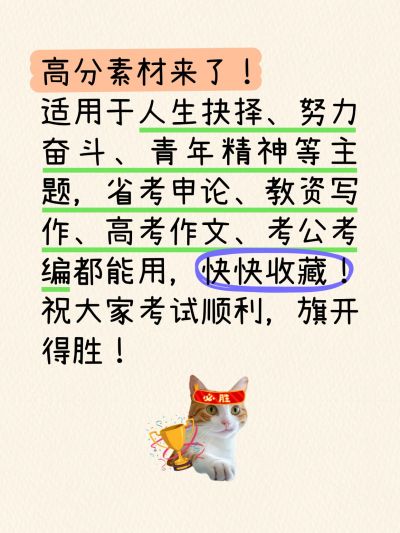 爆款大字长文本猫咪表情包小红书封面aigc