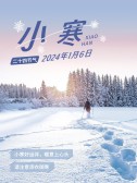 模板缩略图