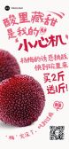 模板缩略图