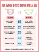 模板缩略图
