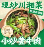 模板缩略图