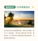 模板缩略图